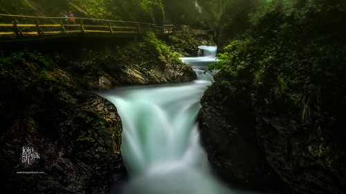 The fierce Radovna river carves her way through the rugged Vintgar Gorge in Slovenia